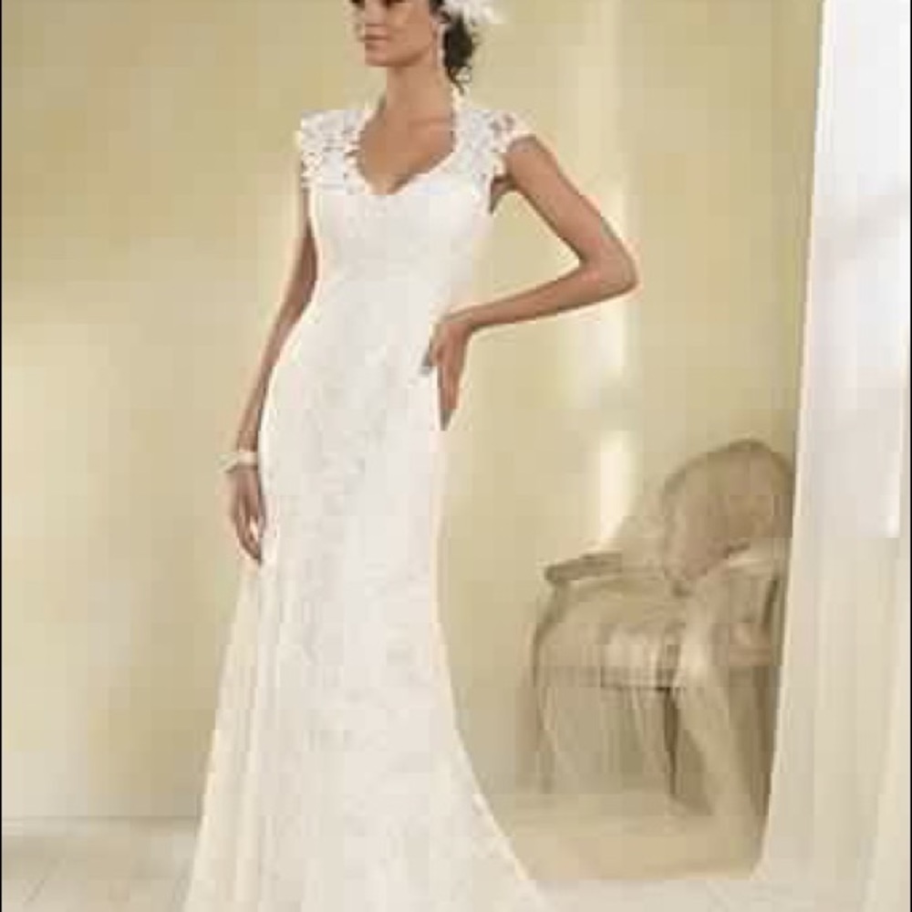 Alfred Angelo plus size